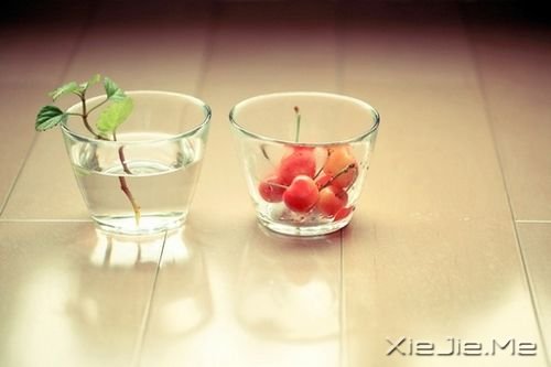 唯美图片 (2)